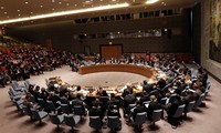 Совет безопасности ООН провёл экстренное заседание по Украине