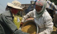 Во Вьетнаме отмечают Всемирный день продовольствия