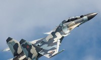 Все российские боевые самолёты в Сирии работают в плановом режиме