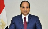 Египет и Великобритания расширяют сотрудничество в области экономики и борьбе с терроризмом