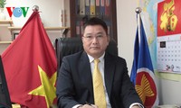 Члены Компартии Вьетнама в Гонконге и Макао верят в успех 12-го съезда КПВ