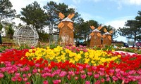 Городской парк цветов Далата – символ «города тысячи цветов»