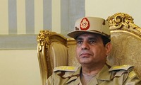 Египет и Франция обсудили меры по разрешению кризиса в странах MENA