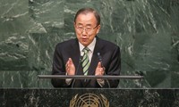 В ООН заявили об учреждении фонда по борьбе с вирусом Зика