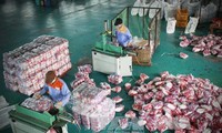 Значительно увеличился объём импорта Вьетнама южнокорейских товаров