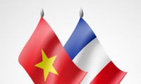 Вьетнамо-французские отношения имеют особую ценность