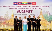 В г.Хошимине прошел форум министров стран субрегиона реки Меконг