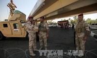 Иракские войска освободили 50% территории, ранее оккупированной ИГ