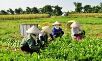Устойчивая ликвидация бедности и осуществление Целей развития тысячелетия во Вьетнаме