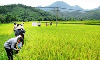 Провинция Баккан максимально использует свои преимущества в области сельского хозяйства