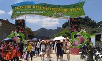 Фестиваль собирательства на плоскогорье Моктяу в провинции Шонла