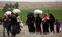 Боевики в Сирии, возможно, используют мирных жителей в качестве «живого щита»
