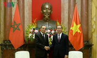 Дальнейшее укрепление вьетнамо-марокканских отношений