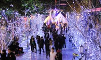 По всему Вьетнаму прошли различные новогодние мероприятия