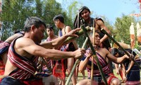 Март на плато Тэйнгуен – время народных праздников и фестивалей