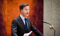 Нидерланды не будут учавствовать в военной операции в Сирии