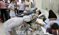 Во Вьетнаме проходят различные мероприятия в честь доноров крови