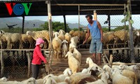 Развитие животноводства в соответствии с социально-экономическим развитием страны