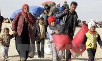 Россия обязалась оказать Ливану поддежку в возвращении сирийцев на Родину