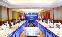 29-я конференция должностных лиц стран АСЕАН по социальным и культурным вопросам