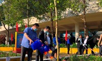 В Ханое и городе Дананг развёрнуты новогодние акции посадки деревьев