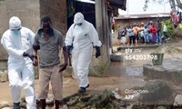 เชื้ออีโบลาคุกคามต่อความอยู่รอดของไลบีเรีย  