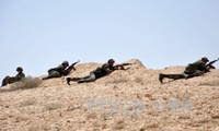 กองทัพซีเรียสังหารมือปืนกว่า๑๐๐คน