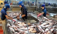 ผู้ประกอบการเวียดนามต้องควบคุมการเลี้ยงปลาบาซาและปลาสวายอย่างเคร่งครัด