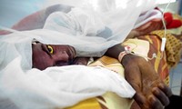 สามารถควบคุมโรคไข้เหลืองในประเทศแองโกลาและสาธารณรัฐประชาธิปไตยคองโก