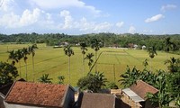 โครงสร้างแผนผังของหมู่บ้านในเวียดนาม