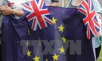 นายกรัฐมนตรีอังกฤษหารือเกี่ยวกับปัญหาBrexitกับประธานาธิบดีคนใหม่ของฝรั่งเศส