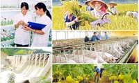 ส่งเสริมบทบาทของเกษตรกรในการสร้างสรรค์ชนบทใหม่