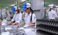 สถานประกอบการฮ่องกงร้อยละ 70 เลือกเวียดนามเป็นจุดหมายปลายทางแรกเพื่อตั้งโรงงานในภูมิภาคเอเชียตะวันออกเฉียงใต้