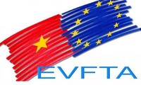 รัฐบาลรายงานเกี่ยวกับข้อตกลง EVFTA ต่อสภาแห่งชาติ