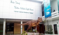 เที่ยวพิพิธภัณฑ์ค้นคว้าธรรมชาติเวียดนาม