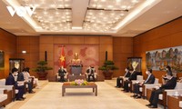 การพัฒนาความสัมพันธ์หุ้นส่วนร่วมมือยุทธศาสตร์ในทุกด้านเวียดนาม-จีนเป็นแนวทางที่เสมอต้นเสมอปลายในนโยบายด้านการต่างประเทศของเวียดนาม
