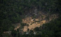 การประชุม WEF Davos 2022 เรียกร้องให้ยุติการทำลายป่าอเมซอน