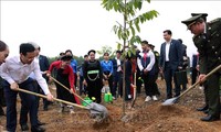 ประธานประเทศ หวอวันเถืองเปิดการรณรงค์ตรุษเต๊ตปลูกต้นไม้