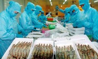 US anti-subsidy suit against Vietnamese frozen shrimp faltering