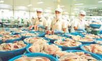 Collecting opinions about Decree on tra fish production and export