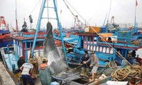 Businesses support offshore fishing activities