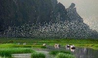  Vietnam protects biodiversity for sustainable development