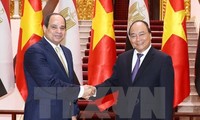 Egypt wants to boost cooperation with Vietnam