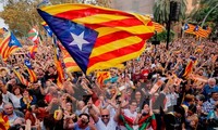Constitution must be respected for Spain’s unity: spokesperson