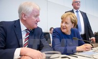 German coalition talks see positive signs
