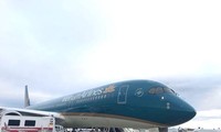 Vietnam Airlines plane makes emergency landing to rescue foreign passenger