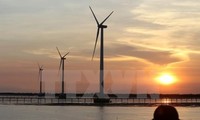 Global Wind Energy Council support Vietnam’s wind power industry