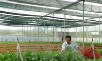 Vietnam promotes high-tech agriculture