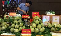 Agricultural trade at Vietnam-China border promoted
