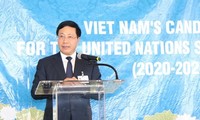 Deputy PM calls for support to Vietnam's UN Security Council member candidacy
